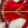 Irish Dancing Dress Image 6