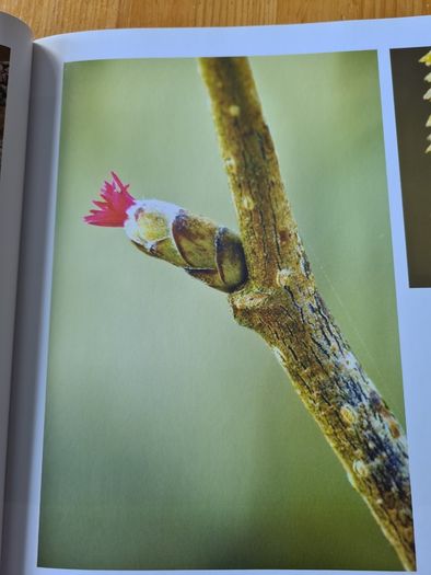 The Fertile Rock. Seasons In The Buren. By Carsten Kriegar.. Beautiful  Photographic  Seens Of The Buren. LARGE VOLUME BOOK.