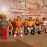 WWF Hasbro Image 2