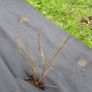 Premium anti weed non woven fabric 100g/sqm 1,06x10m Image 3