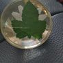 paperweight with bee inside on a daisy.Hard plastic Image 4