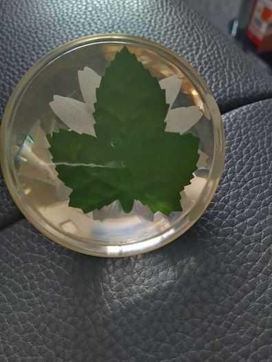 paperweight with bee inside on a daisy.Hard plastic