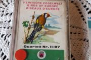 Vintage birds cards