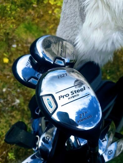 Set of Ladies Golf Clubs