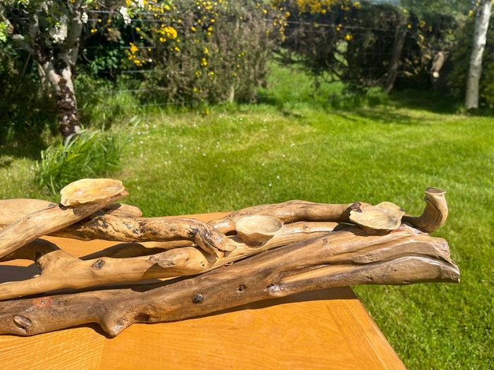 hand crafted drift  wood centre piece