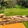 hand crafted drift  wood centre piece Image 4