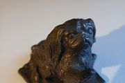 Genesis pekingese  dog
