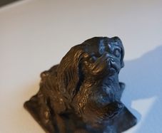 Genesis pekingese  dog