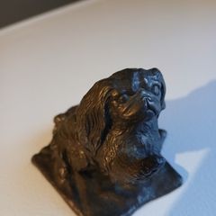 Genesis pekingese  dog