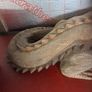 Large carved hardwood aligator Image 4