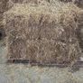 Tested Square Bales Of Premium Quality Hay Image 10