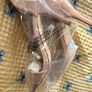 Extra wide sandals brand new in box Image 2