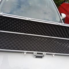 Gun case
