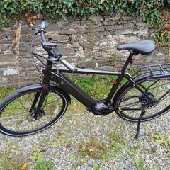 Kuma X0 Electric Bike - Automatic, Belt, 1318km