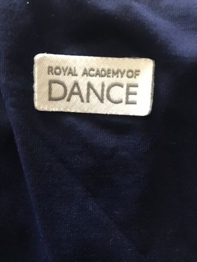 Navy Ballet leotard and skirt