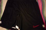 Nike Dri-Fit Men's Football Shorts (Large)