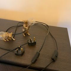 Mouse lamps