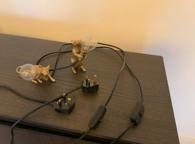 Mouse lamps