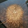 Beautiful Contemporary centre light fitting & side lamp Image 7