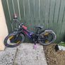 kids bike Image 2