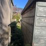 Shed 6x8ft Image 4