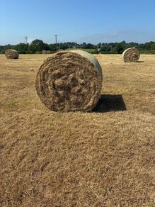 Hay Bales (Round)