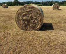 Hay Bales (Round)