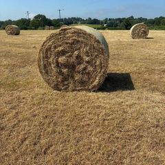 Hay Bales (Round)
