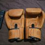 Fairtex BGV-21 Brand New 12oz Image 2