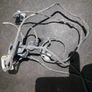Original BMW 5er E60 E61 LCI PDC Sensors with  Wiring Loom Front 9122273 Image 2
