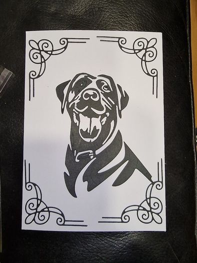 Dogs:- Labrador Blank Greeting Card