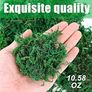 300g Artificial Moss - 10.6 Ounce Floral Decorative Fake Fresh Green Moss for Potted Plant Centerpieces, Terrariums, Decor, Life-Like Garden Lawn Grass Image 7