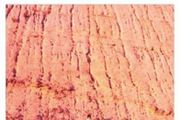 Vic chestnutt little lp