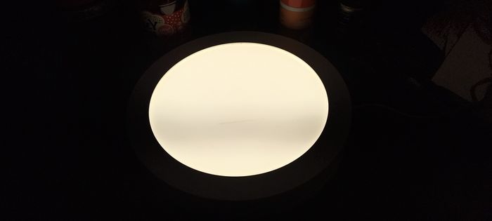 LED Low Voltage Ceiling/Wall Light