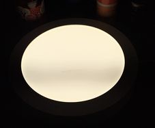 LED Low Voltage Ceiling/Wall Light