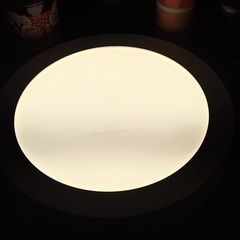 LED Low Voltage Ceiling/Wall Light