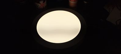 LED Low Voltage Ceiling/Wall Light