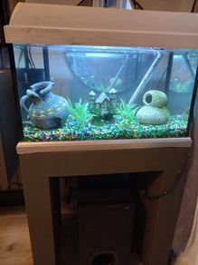 fish tank