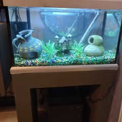 fish tank