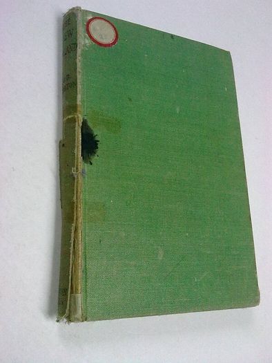 The New Ireland by J. B. Morton Fianna Fail 1937 constitution Irish
