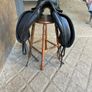 Dressage Image 4