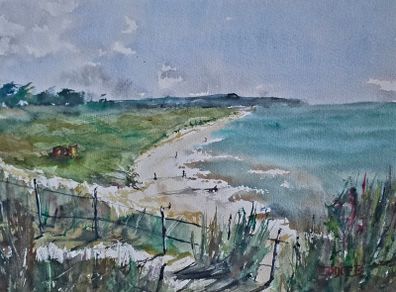 curacloe watercolour