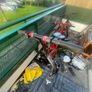 engwe y600 electric scooter Image 2