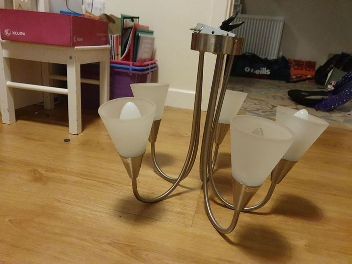 5 Lamp Ceiling Light