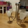5 Lamp Ceiling Light Image 2