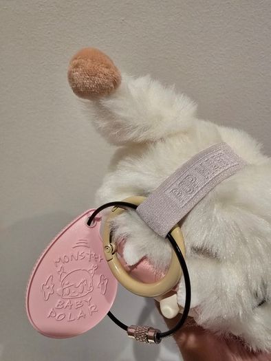 Pop Mart Polar Monster Baby Series V1 - Snokm Plush Pendant