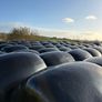 2026 Silage bales Image 2
