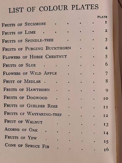 .The Observers Book Of TRRES & shrubs Of The British ISLES. 240 PAGES POCKET SIZE.