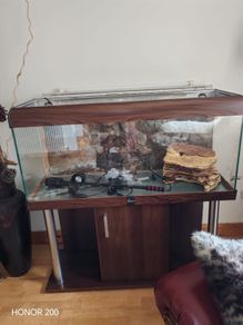 Aquarium  Fish Tank Setup 350 Euro
