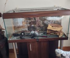 Aquarium  Fish Tank Setup 350 Euro